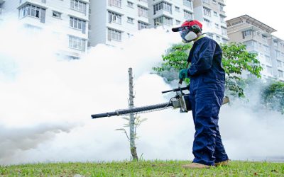 Homeowner Benefits of Using Pest Control Services Fort Myers, FL, for Lasting Protection