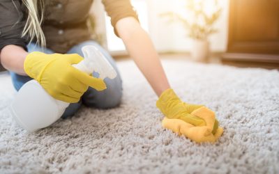 Restore Comfort and Sparkle Using Trusted Cleaning Services in Georgetown, TX Homes