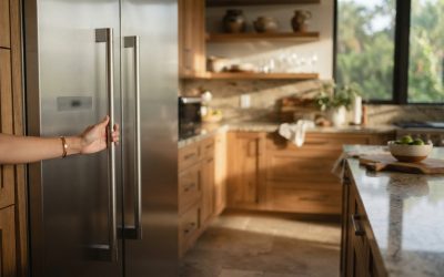 Expert Guidance for Sub-Zero Appliances in Homes